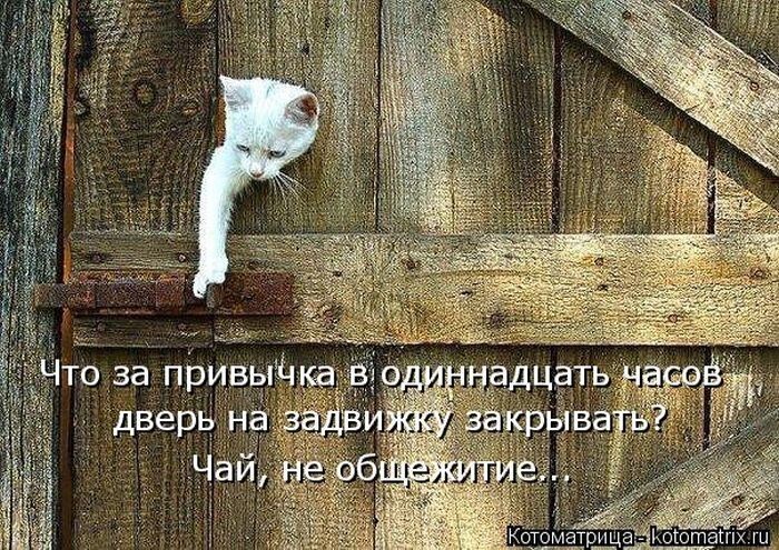 Котомикс