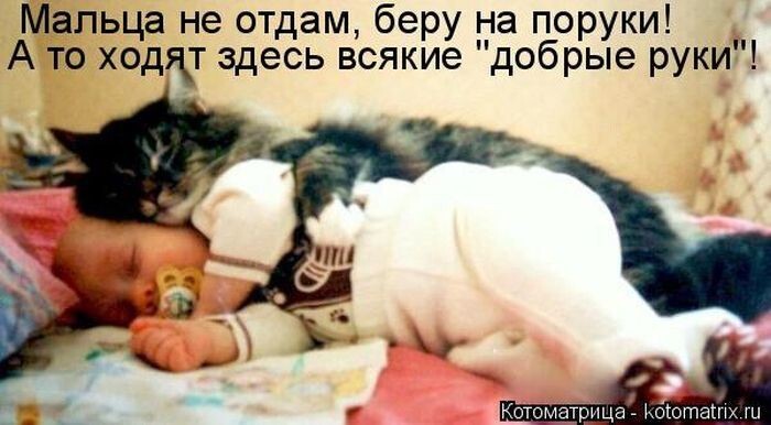 Котомикс