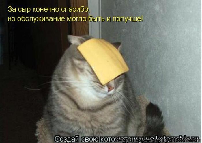 Котомикс