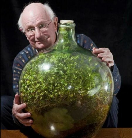 Флорариум или Сад в бутылке