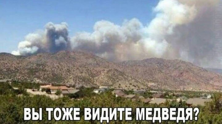 СТАТЬЯ о Русском Медведе