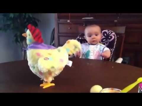 Малыш в шоке от игрушечной курицы которая несет яйца 