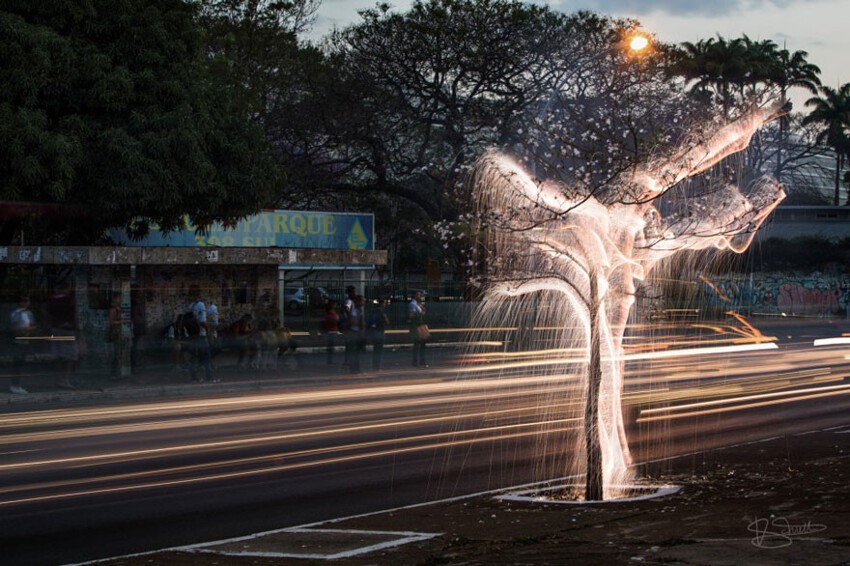 Фотограф снимает удивительные фотографии, показывая свет, «льющийся» с деревьев