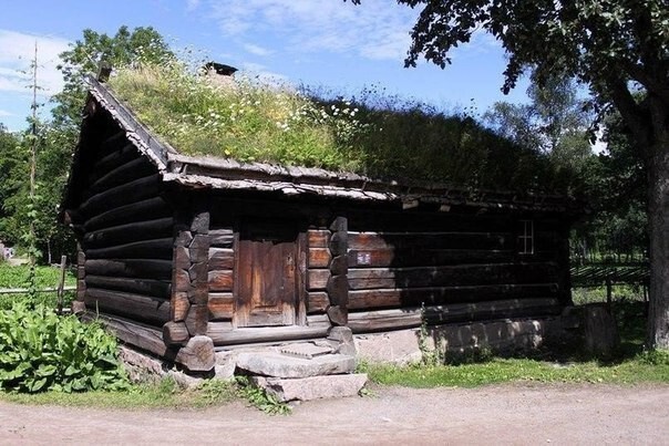 Живые крыши домов в Норвегии