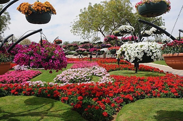 Dubai Miracle Garden - самый большой парк цветов в мире