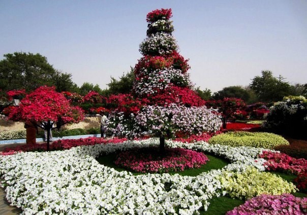 Dubai Miracle Garden - самый большой парк цветов в мире