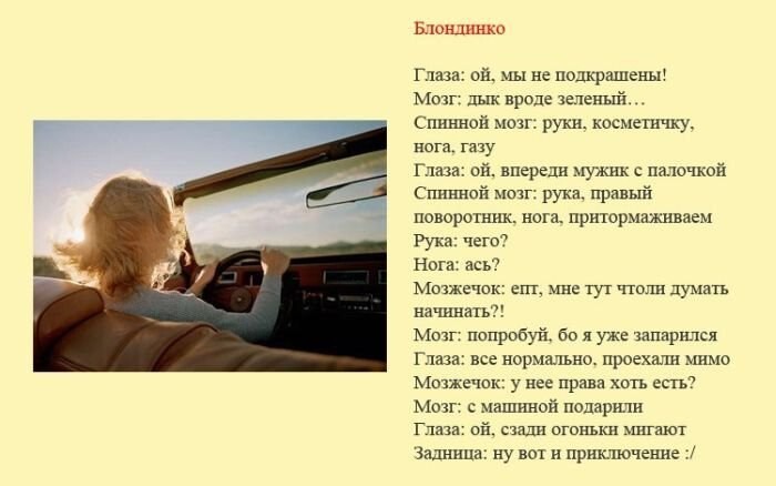 Классификация водителей