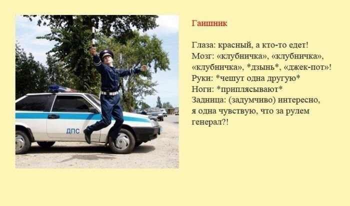 Классификация водителей