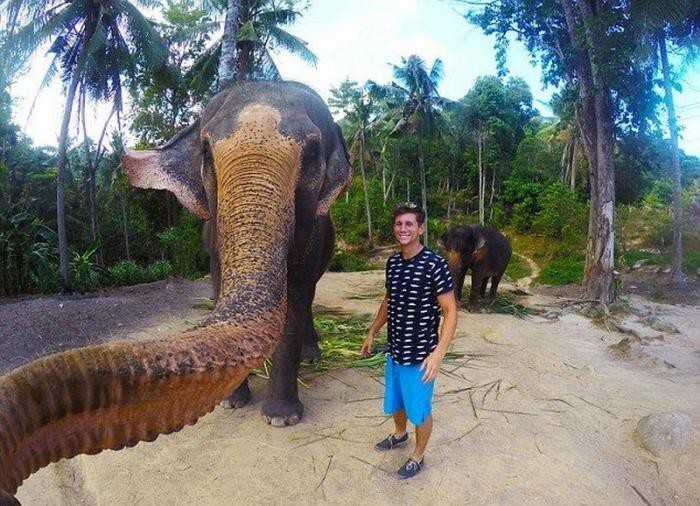 Слон сфотографировался с туристом на память