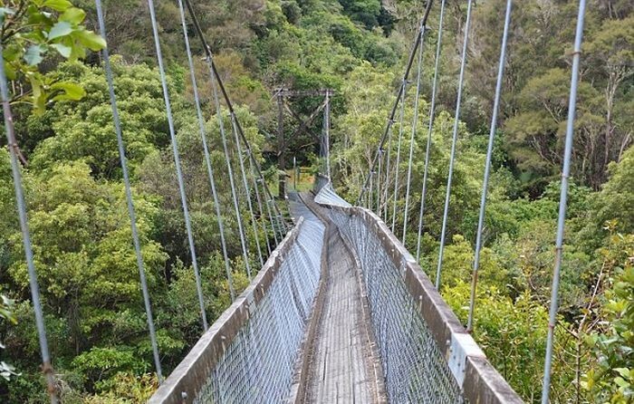 В Новой Зеландии туристы упали в реку с подвесного моста