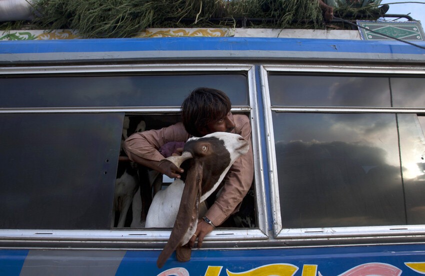 Кадры повседневной жизни в Пакистане