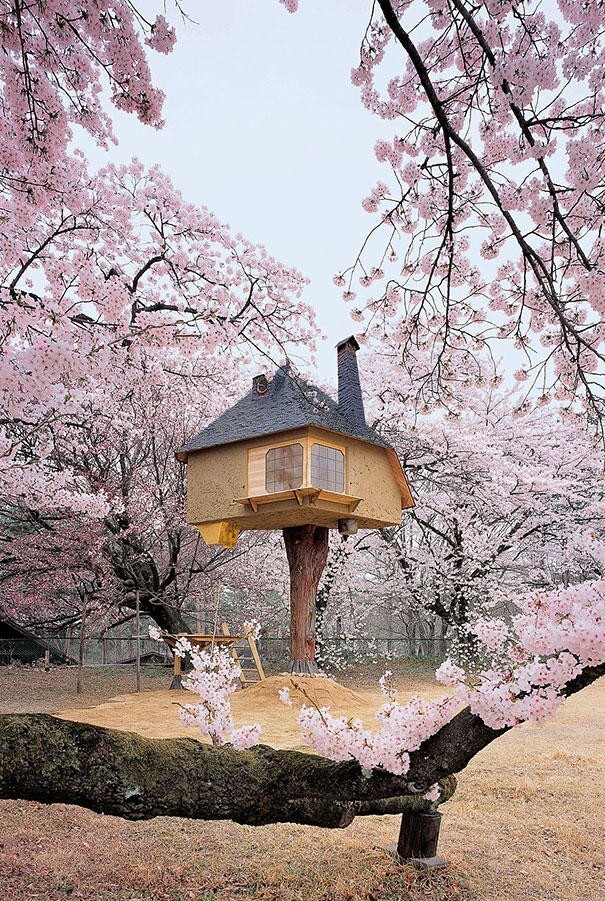 Чайный домик Тецу в Яманаси, Япония