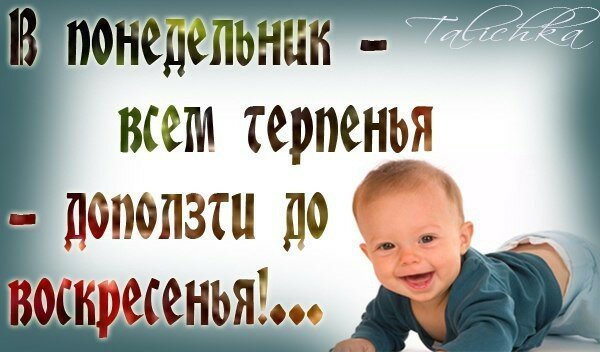 Понедельник! Понедельнично