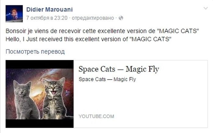 Лучший антидепрессант от Enjoykin! Space Cats - Magic Fly