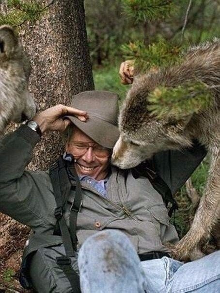 Шесть лет жизни с волками