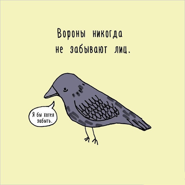 15 интересных фактов о животных, поданных оригинальным образом