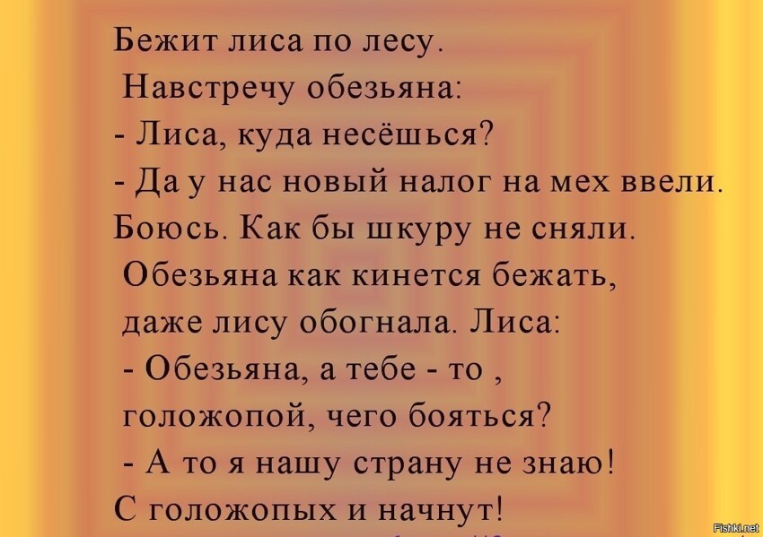 Из солянки