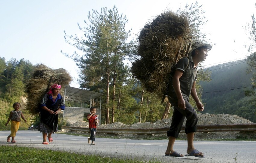 Кадры повседневной жизни во Вьетнаме