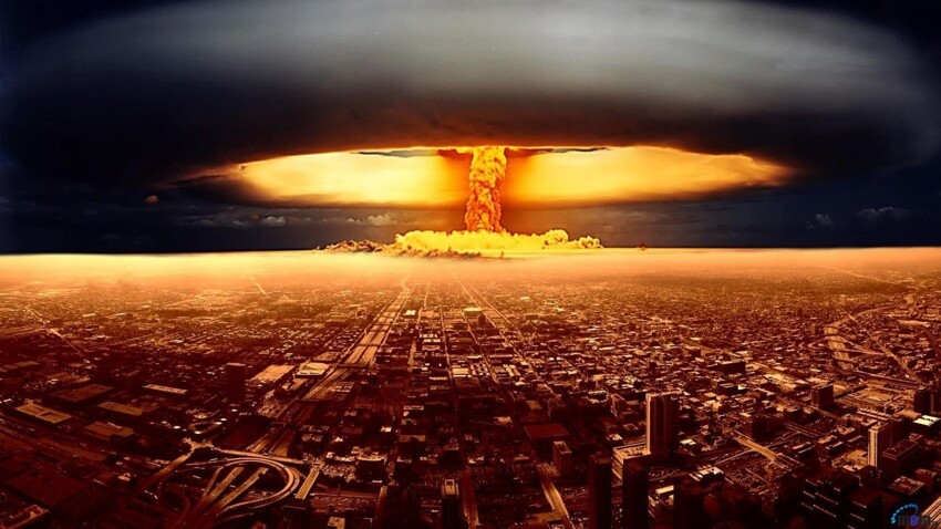 10 форм жизни, которые переживут ядерную войну