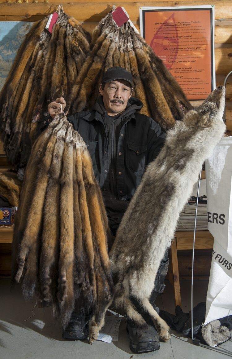 Спорная индустрия добычи меха на Северо-Западных территориях