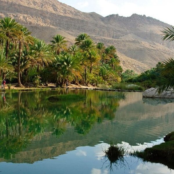 Города Омана. Салала - джунгли посреди пустыни