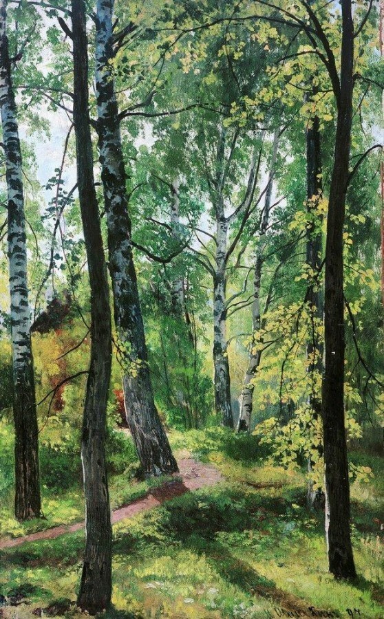 Лиственный лес 1897г.