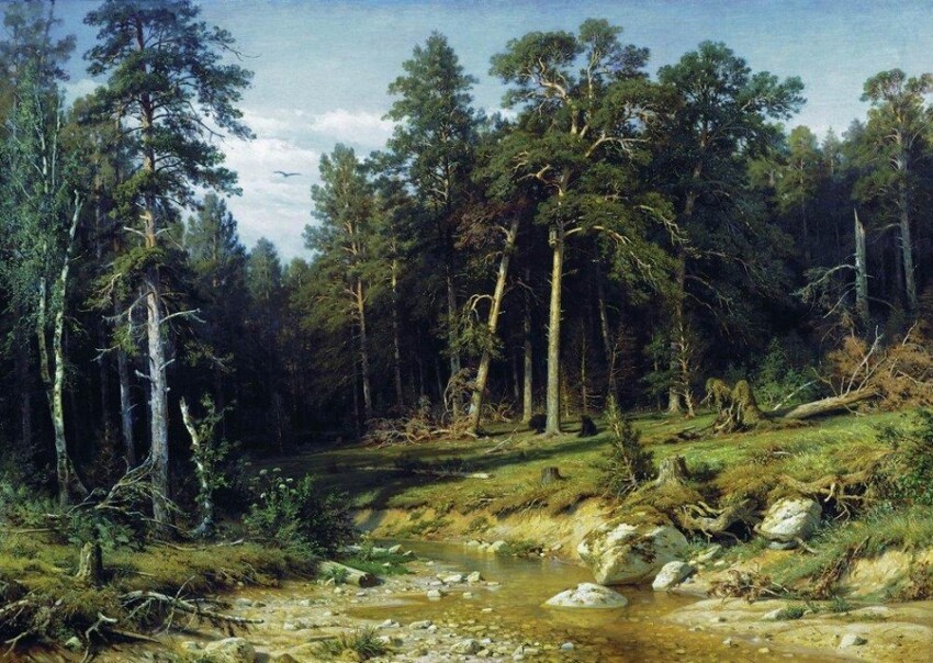Сосновый бор. Мачтовый лес в Вятской губернии 1872г.