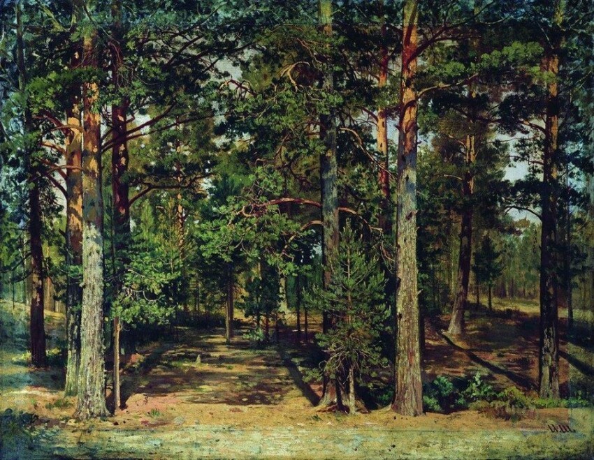 Сосновый лес (1)