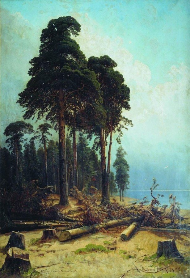 Сосновый лес. 1883-1894г.