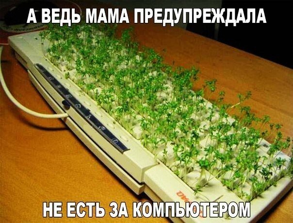 Новые фотомемы