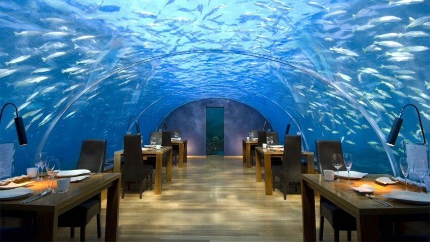 11. Подводный ресторан Ithaa Undersea Restaurant