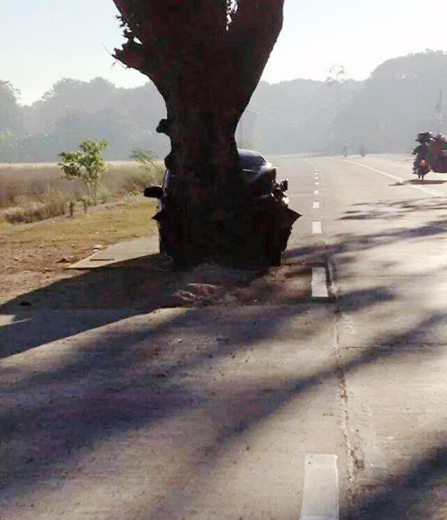 На дорогах Азии полно священных деревьев