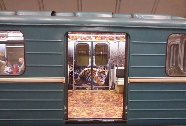 Красота в Московском метро : дизайнерский интерьер вагонов