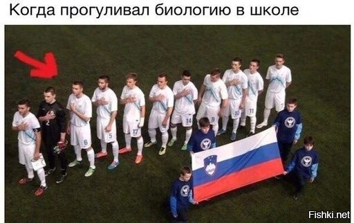 Из солянки