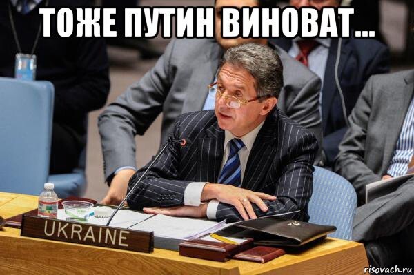 Совбез ООН и Украина...