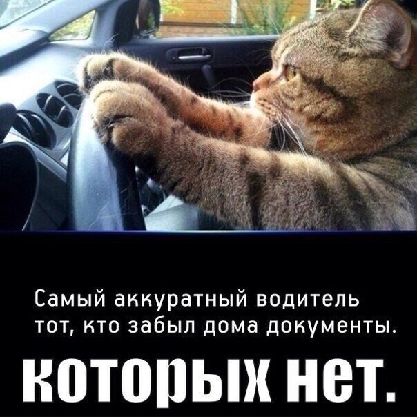 Немного авто приколов