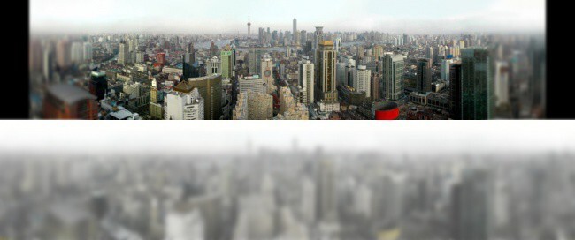 Панорама города размыта, так как кошка не может четко различать предметы, находящиеся на расстоянии больше шести метров.