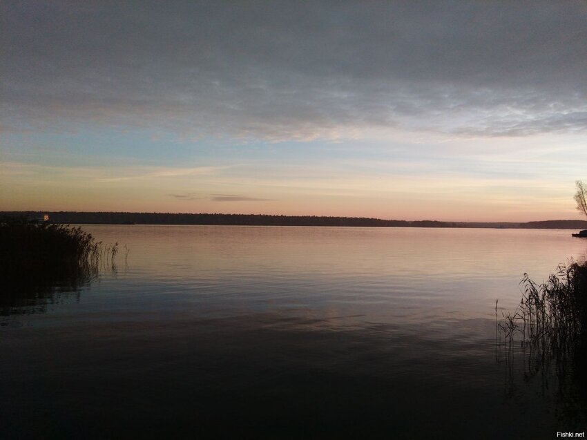 Сегодня утром