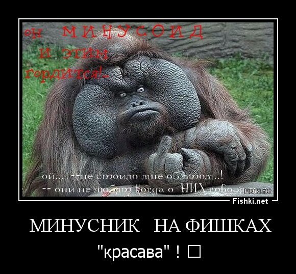  минусник   на фишках