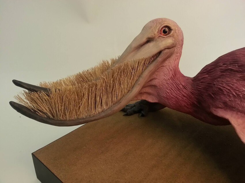 19. Pterodaustro