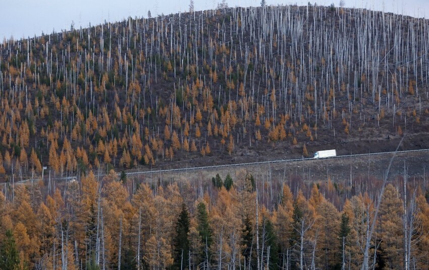 Республика Тува