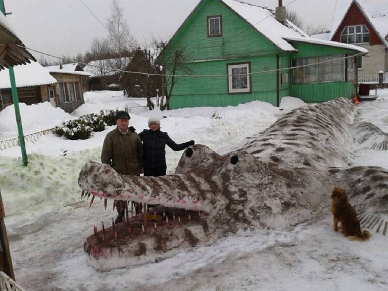 Прикольные картинки