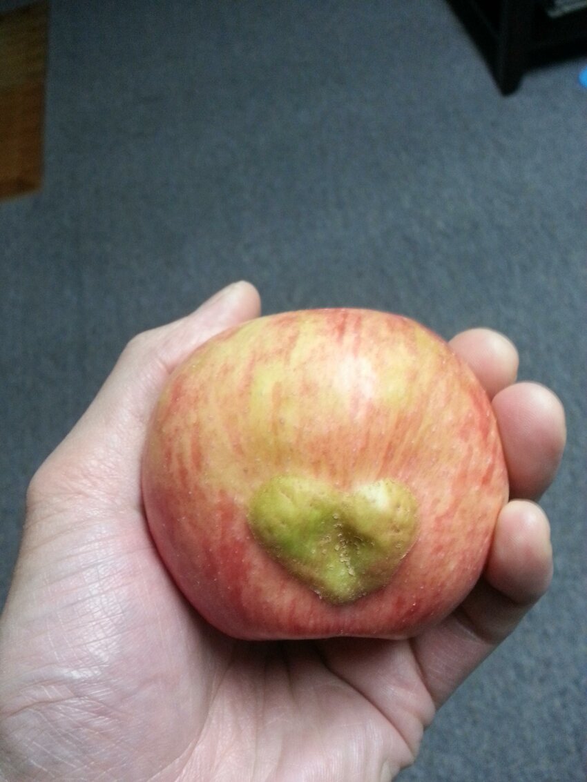 Яблоко с сердцем