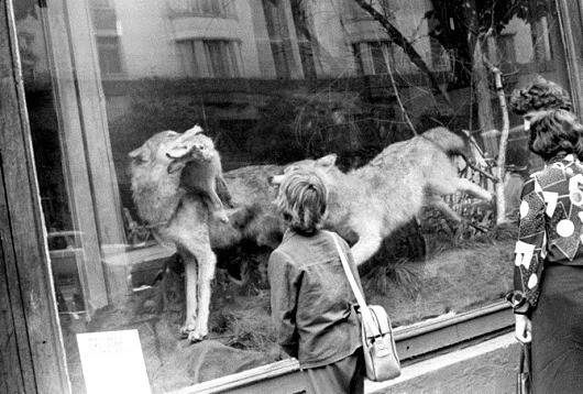 Прогулка по Москве 1981 года