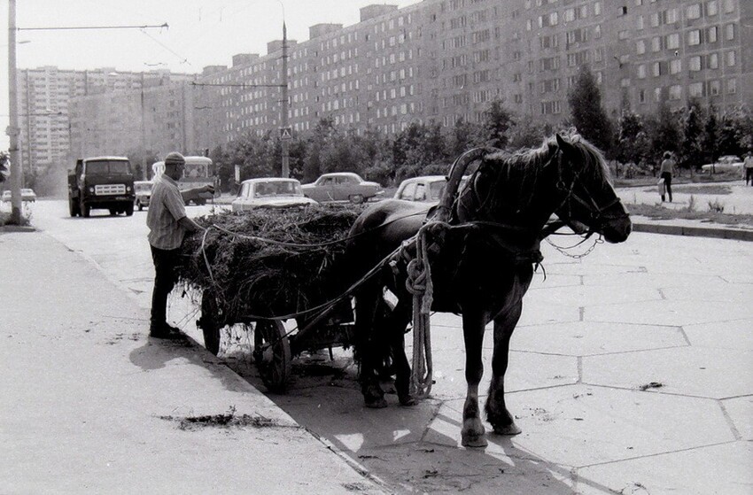 Юго-Запад Москвы в ретро-фотографиях