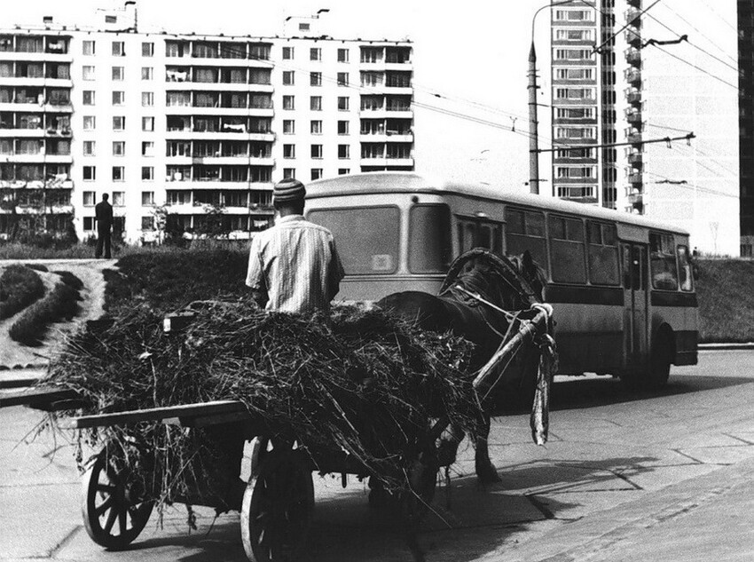 Юго-Запад Москвы в ретро-фотографиях