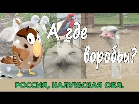"Воробьи" - отличный Парк Птиц в Калужской области 
