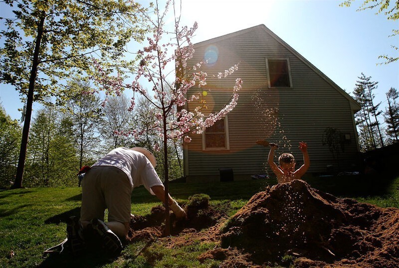 Рич и Иджей сажают деревья в память о Каролинн.