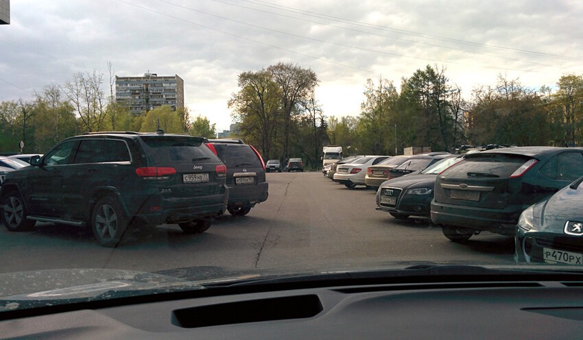 Почему никто не любит автомобилистов, особенно, другие автомобилисты? Потому, что они паркуются как олени!