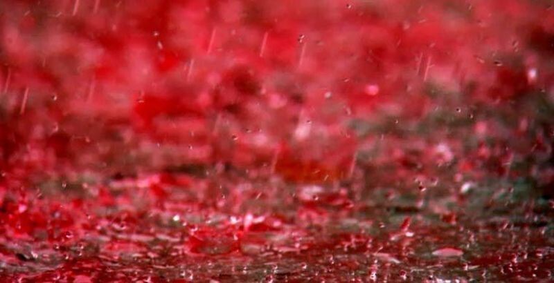 4. Красный (кровавый) дождь, Керала, Индия, 2001 год